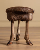 Pair of Deer Hoof Stools, France, 1940's