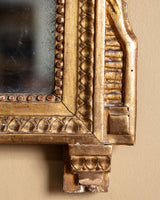 19th Century French Louis XVI Style Giltwood Trumeau Mirror - Lone Fox