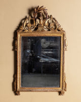 19th Century French Louis XVI Style Giltwood Trumeau Mirror - Lone Fox