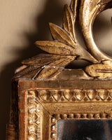 19th Century French Louis XVI Style Giltwood Trumeau Mirror - Lone Fox