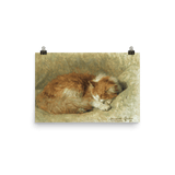 "A Sleeping Cat" Art Print - Lone Fox