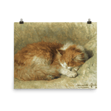 "A Sleeping Cat" Art Print - Lone Fox