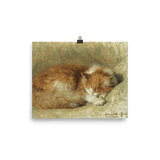 "A Sleeping Cat" Art Print - Lone Fox