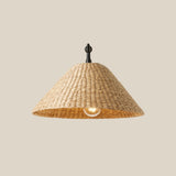 Bainbridge Swing Arm Sconce - Lone Fox