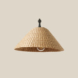 Bainbridge Swing Arm Sconce - Lone Fox