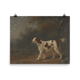 "Bird Watcher" Art Print - Lone Fox