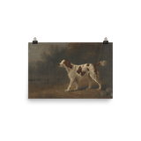 "Bird Watcher" Art Print - Lone Fox