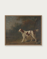 "Bird Watcher" Art Print - Lone Fox