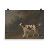 "Bird Watcher" Art Print - Lone Fox