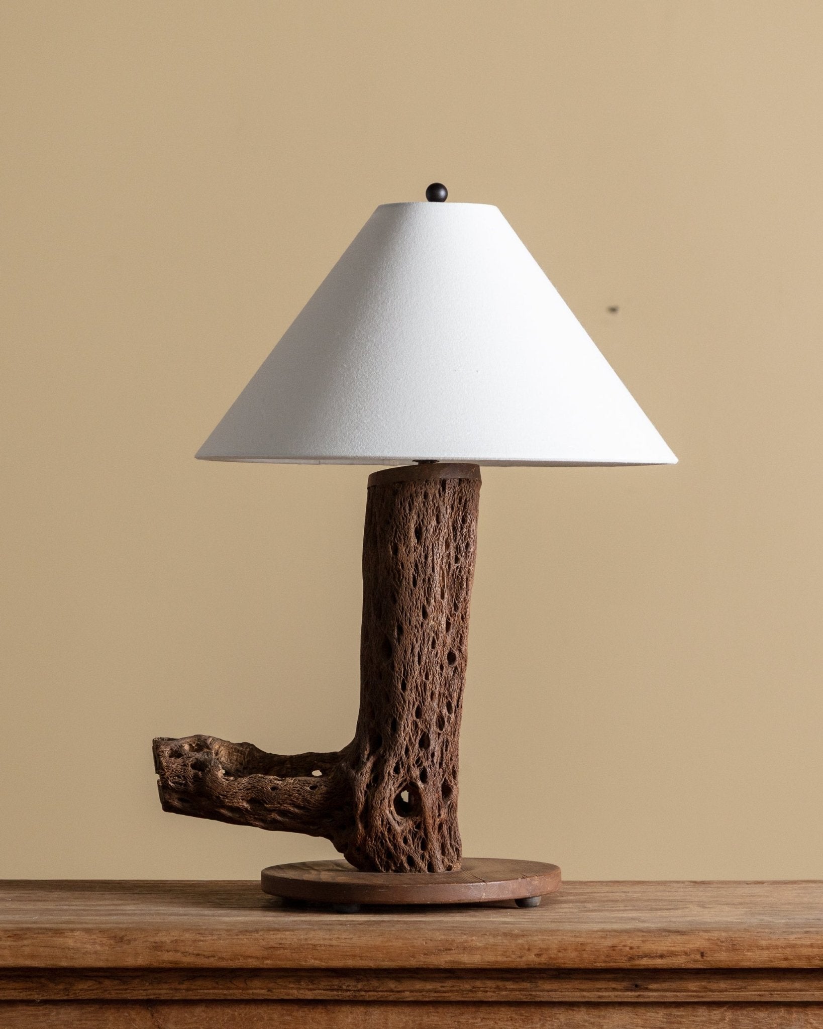 Cholla Cactus Wood Table Lamp – Lone Fox