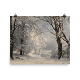 "Forest in Winter" Art Print - Lone Fox
