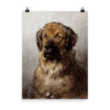 "Head of a Leonberger" Art Print - Lone Fox