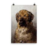 "Head of a Leonberger" Art Print - Lone Fox