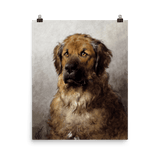 "Head of a Leonberger" Art Print - Lone Fox