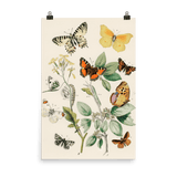 "Illustrations from the book of European Butterflies and Moths" Art Print - Lone Fox