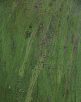 Large Abstract Landscape Oil Painting by Leon Goldin, United States, 1963 - Lone Fox