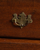 Northern European Arched Oak Secretary Cabinet, 19th Century - Lone Fox
