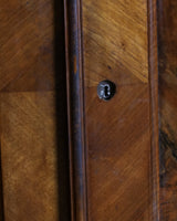 Pair of 19th Century Olive Burlwood & Mahogany Armoires w/ Fruit Carvings - Lone Fox