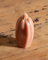 Pumpkin & Squash Candles - Lone Fox