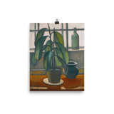 "Rubber Plant On A Window Ledge" Art Print - Lone Fox