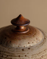 Sculptural Lidded Stoneware Soup Tureen, France, 1970s - Lone Fox