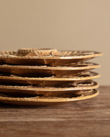 Set of 5 Ochre Ceramic Oyster Plates, France, Mid 20th Century - Lone Fox