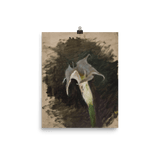 "White Floral" Art Print - Lone Fox