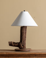 Cholla Cactus Wood Table Lamp