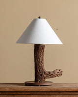 Cholla Cactus Wood Table Lamp