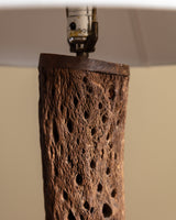 Cholla Cactus Wood Table Lamp