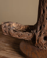 Cholla Cactus Wood Table Lamp