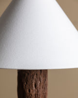 Cholla Cactus Wood Table Lamp