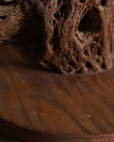 Cholla Cactus Wood Table Lamp