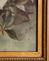 White Azalea Still Life in Gold Frame, France, 1890s