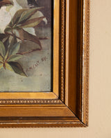 White Azalea Still Life in Gold Frame, France, 1890s