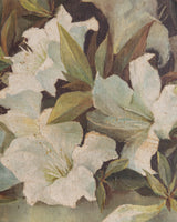 White Azalea Still Life in Gold Frame, France, 1890s