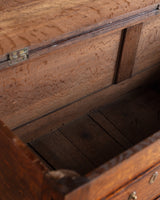 European Oak Mule Chest, Europe, 18th/19th Century