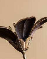 Italian Brass Flower Petal Ashtray, 1950's