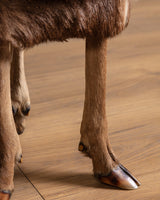 Pair of Deer Hoof Stools, France, 1940's