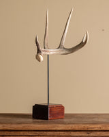 Antler on Wood Stand, American, Mid-20th Century