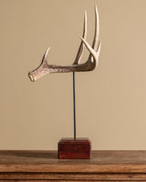 Antler on Wood Stand, American, Mid-20th Century