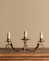 Pair of Tole Leaf Candelabra Table Lamps, France, 1900's