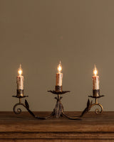 Pair of Tole Leaf Candelabra Table Lamps, France, 1900's