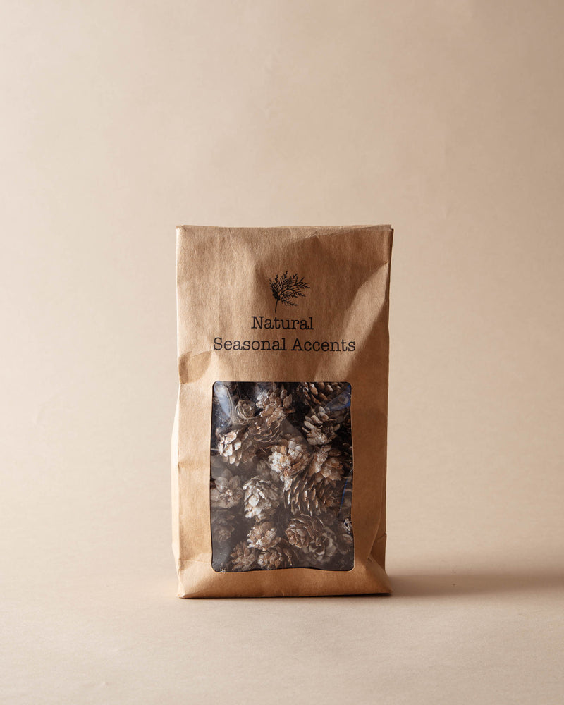 Bag of Dried Natural Pinecones