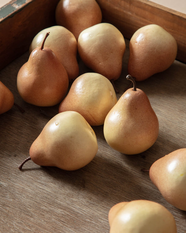 Homestead Pears (Set of 12)