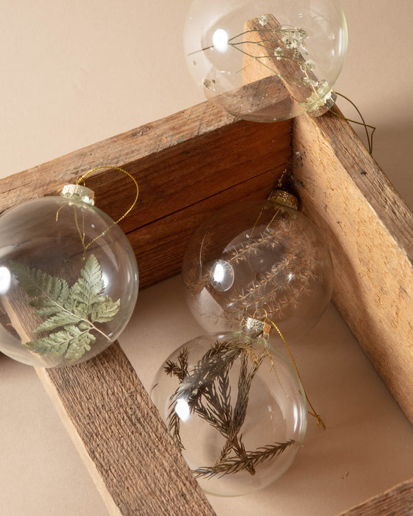 Dried Botanical Glass Ball Ornaments (Set of 4)