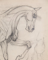 Equestrian Horse Pencil Sketch with Red Linen Mat, France, 1930s