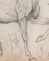 Equestrian Horse Pencil Sketch with Red Linen Mat, France, 1930s