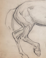 Equestrian Horse Pencil Sketch with Red Linen Mat, France, 1930s