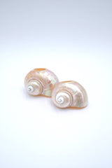 Seashell Napkin Ring